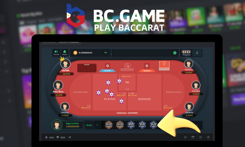 BC.GAME gambling establishment: Bonuses and promotions